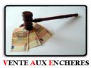 Vente aux encheres